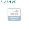 FLASH-2G подробнее