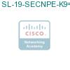 SL-19-SECNPE-K9= подробнее